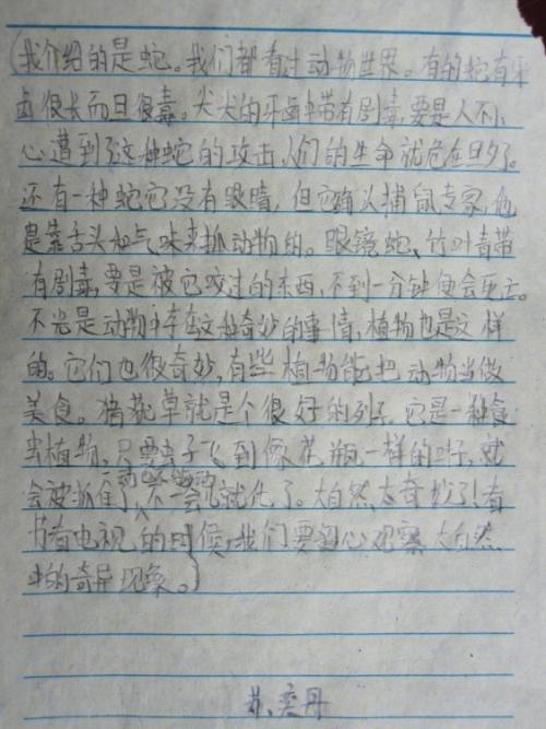 熟悉的小动物组成200字