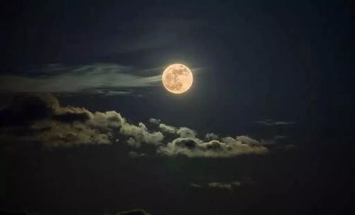 中秋节的月光