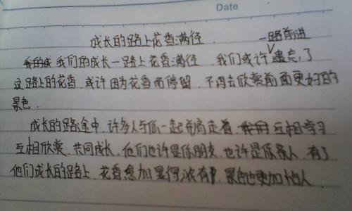 阳光组成的成长之路600字