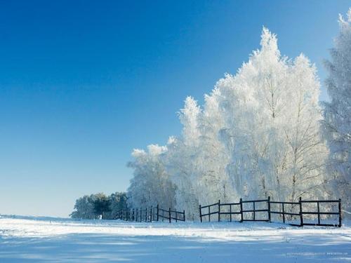 美丽的雪