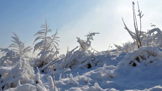 潘雪