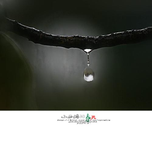 春天的雨滴