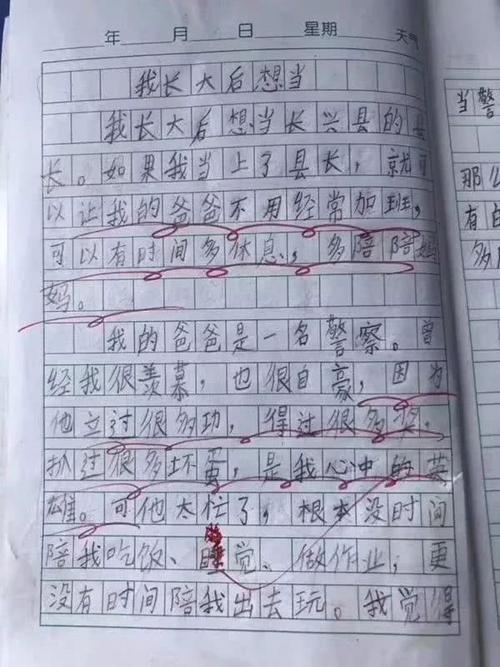 我长大后会做些什么