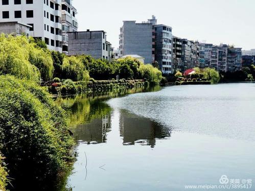 美丽的鹅湖公园