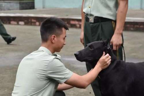 我不能忘记匆忙的五年