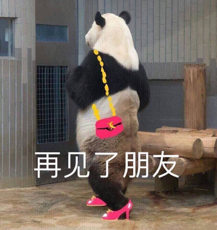 再见我的朋友