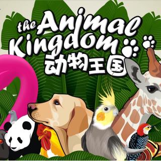 动物王国的故事