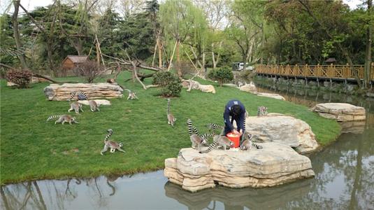 游览上海动物园