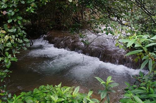 小雨的味道