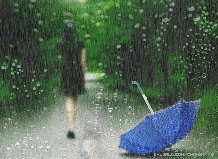 图在风雨中