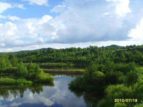 是什么陪伴我旅行