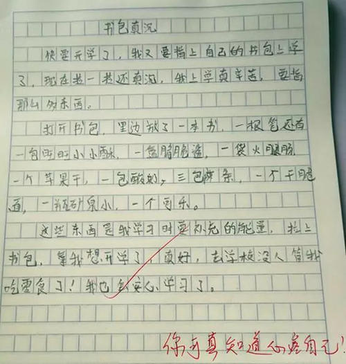 我的小书包组成400字