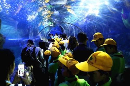 游览上海水族馆