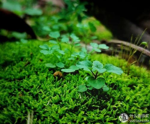 雨让我爱恨交加