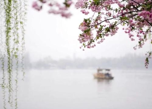 雨中朦胧的美丽