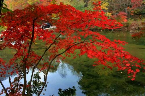 我喜欢这个色彩缤纷的秋天