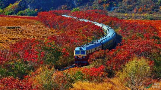 秋季火车