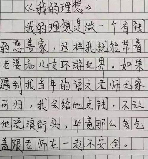 我理想的作文500字