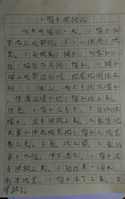 小鸭历险记200字构成