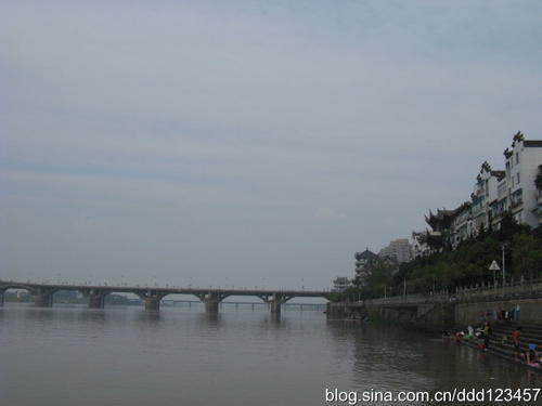 兰溪月季浮桥