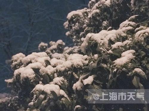 2019年的最后一场雪