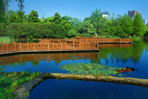 美丽的Yin州公园