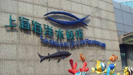 游览上海海洋水族馆