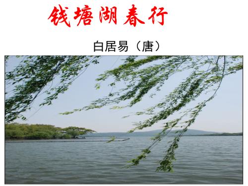 钱塘湖春季游的扩展