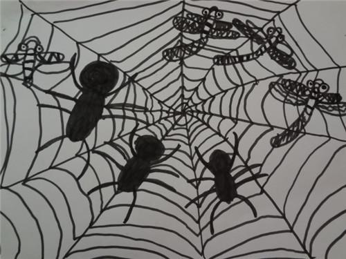 蜘蛛过河和编织网的启发