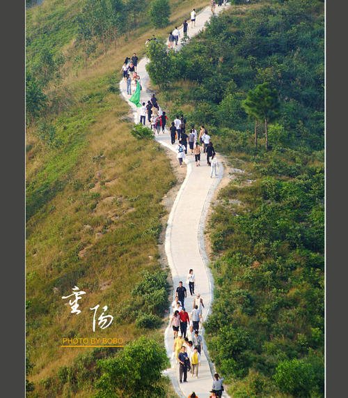 重阳登高