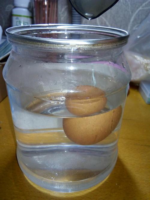 鸡蛋漂浮在水中
