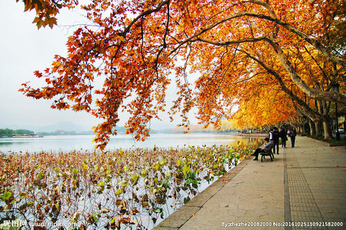 秋天的西湖
