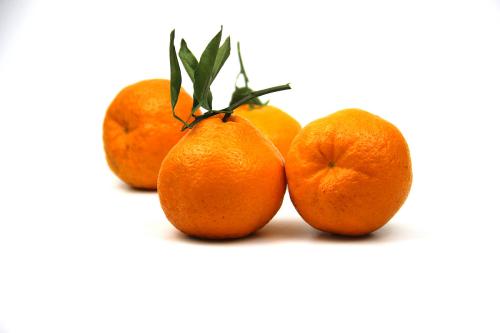 丑橘成分