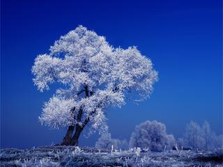 游览洞庭湖冰雪世界