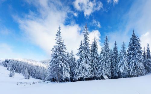 远处的雪