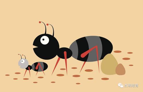 团结友善的蚂蚁