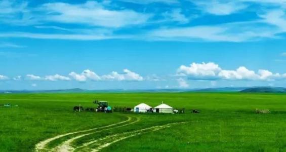 在草地上的蒙古包