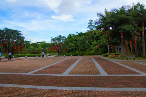 大沙河公园污水调查