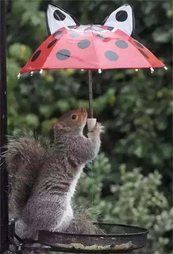 一把雨伞使我感动
