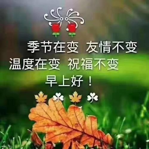 诗给我带来幸福