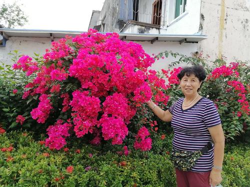 这个难忘的春节