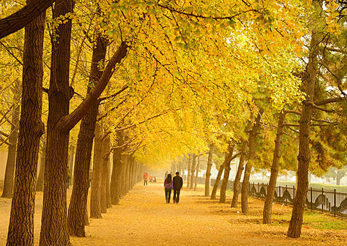 北京的秋天