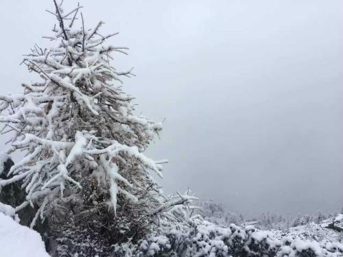 秋雪景