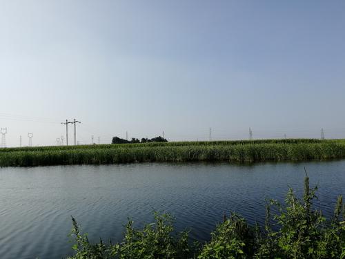 记忆中的田野与土地