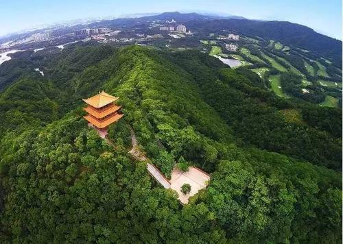 大坪张森林公园