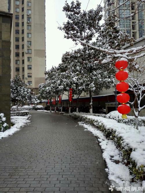 下雪后回家