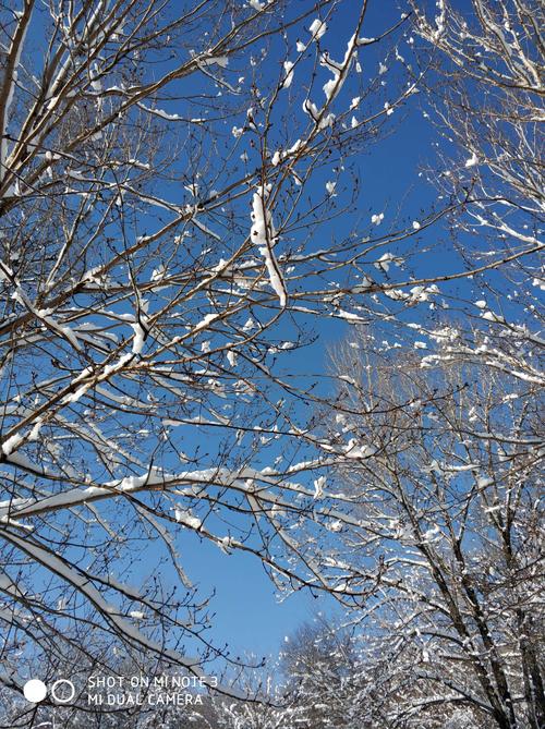 那大雪