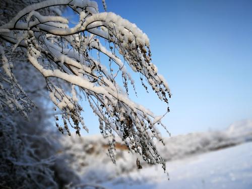 雪后的风景