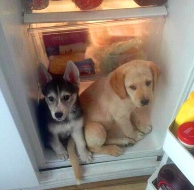 冰箱散发热量