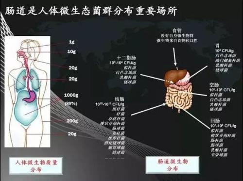 对微生物说些什么